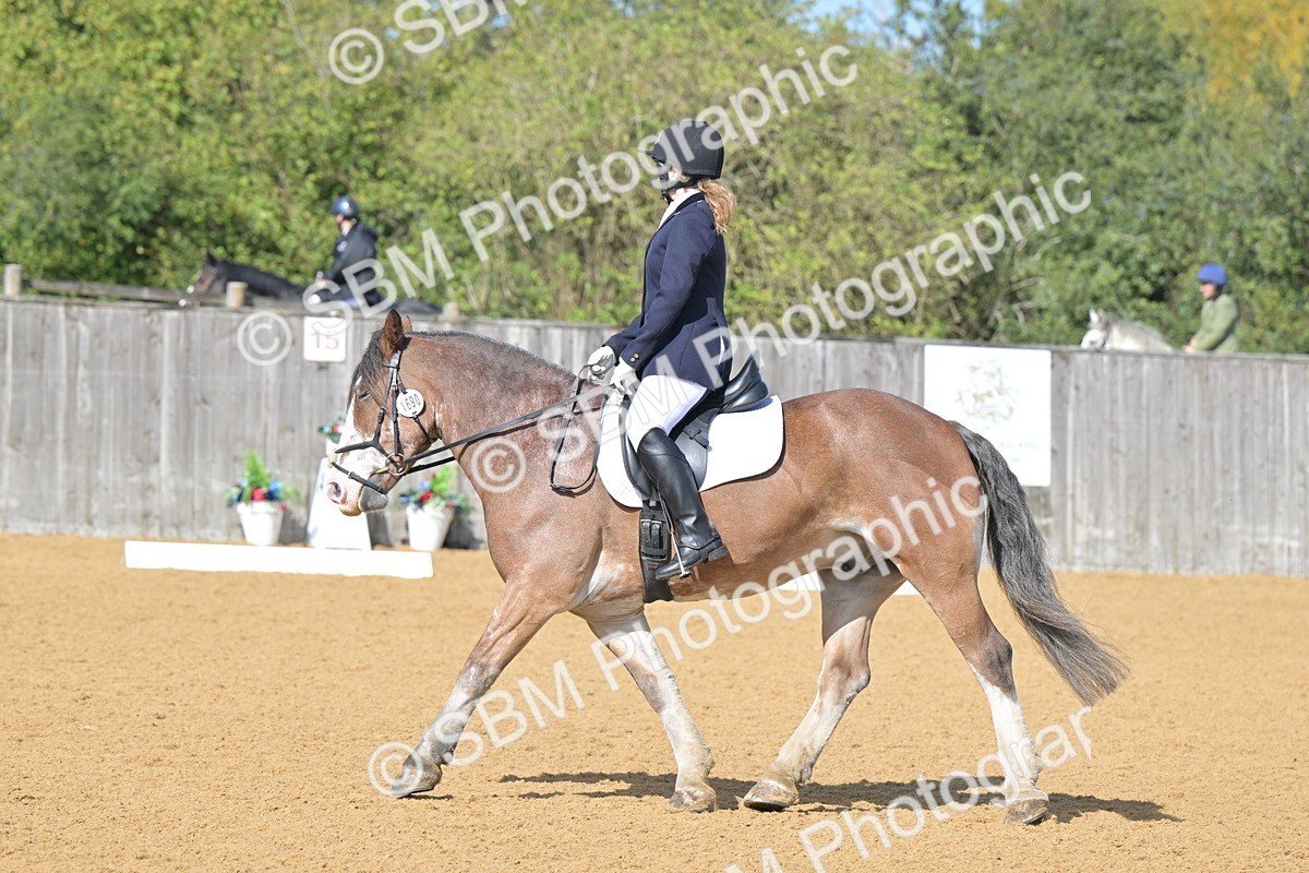SBM_03901 - D2 - Small Tour Championship Intro 2