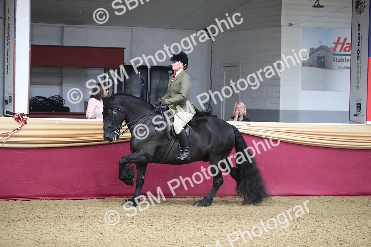 SBM_10435 - Class 102 Equitation (best rider) Adult