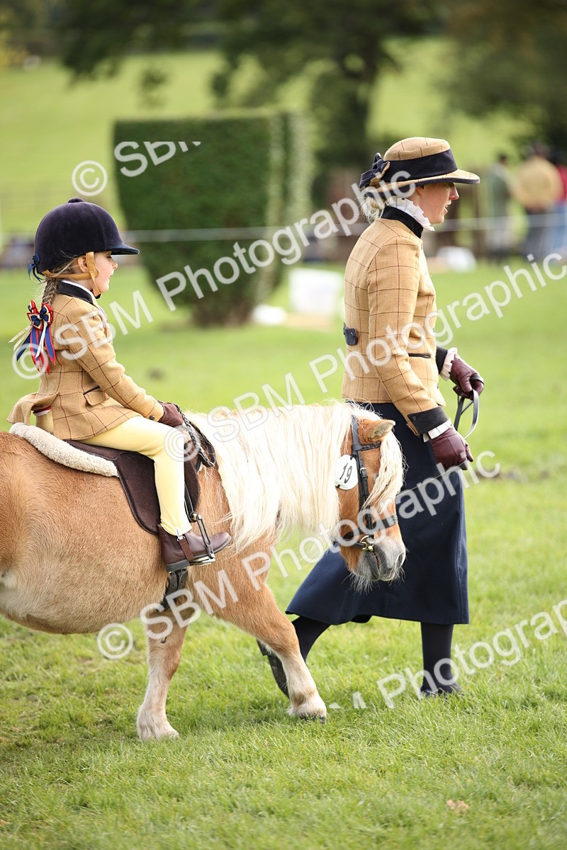 SBM_50155 - S26 - Young Veteran - Ridden