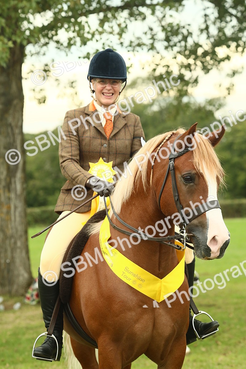 SBM_72303 - S60 - Mountain & Moorland Ridden Large Breeds