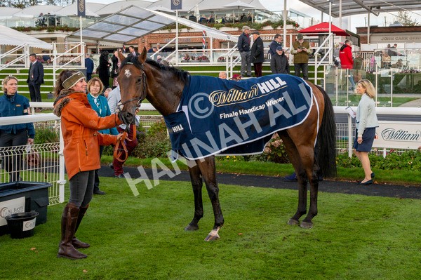 111024-Race 3-Minstrel Knight-7152 - Race 3 2.40pm William Hill Finale Handicap