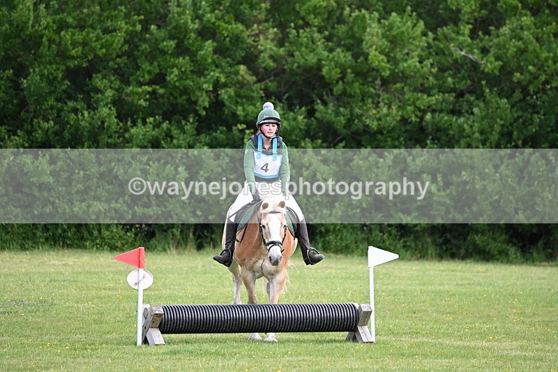 WJ6_2272 - Class 2 40cm