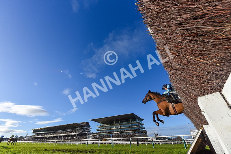 141224-Race 3-Shakeyatailfeather-9371 - Race 3