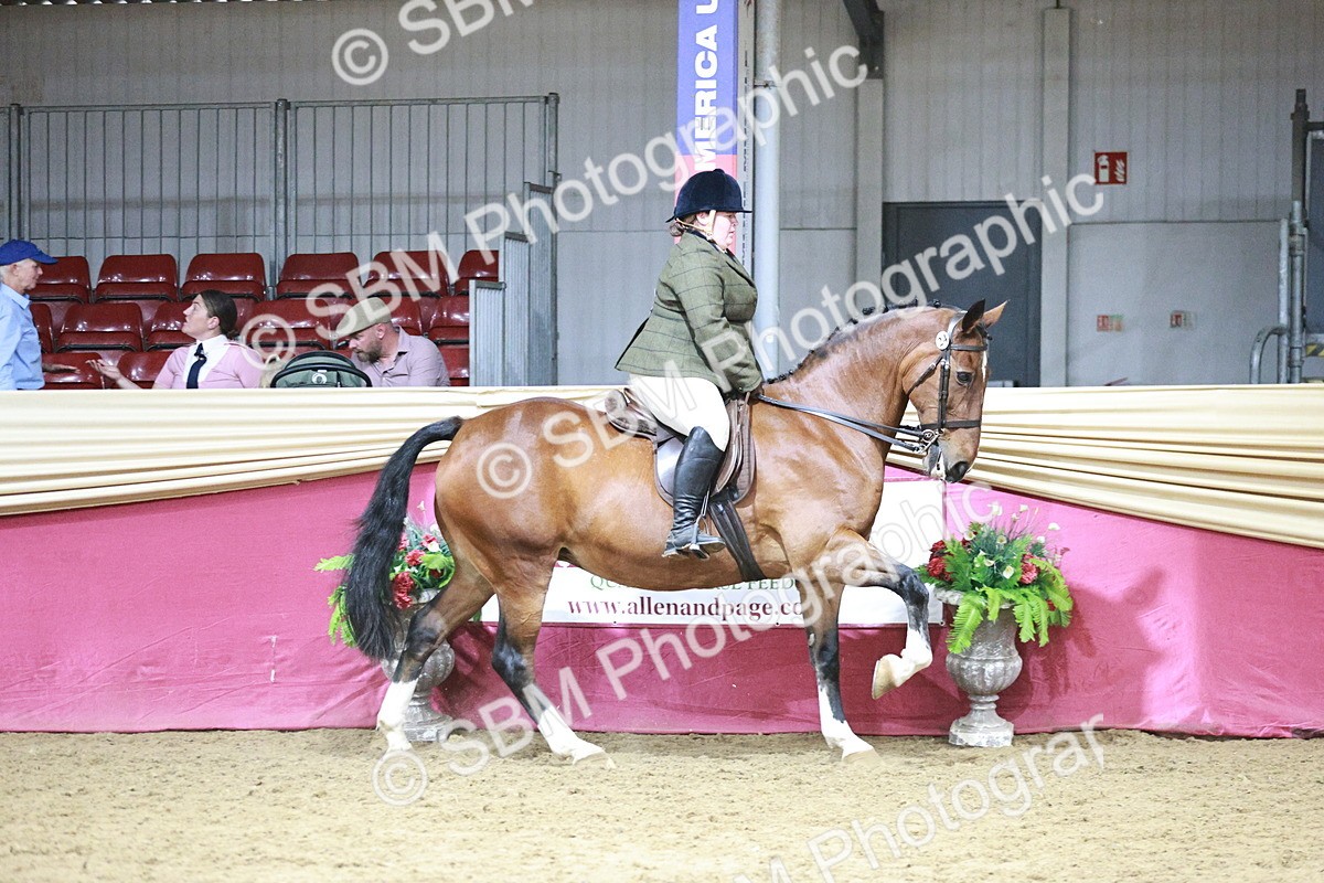 SBM_08021 - Class 11R - Regional Ridden Veteran