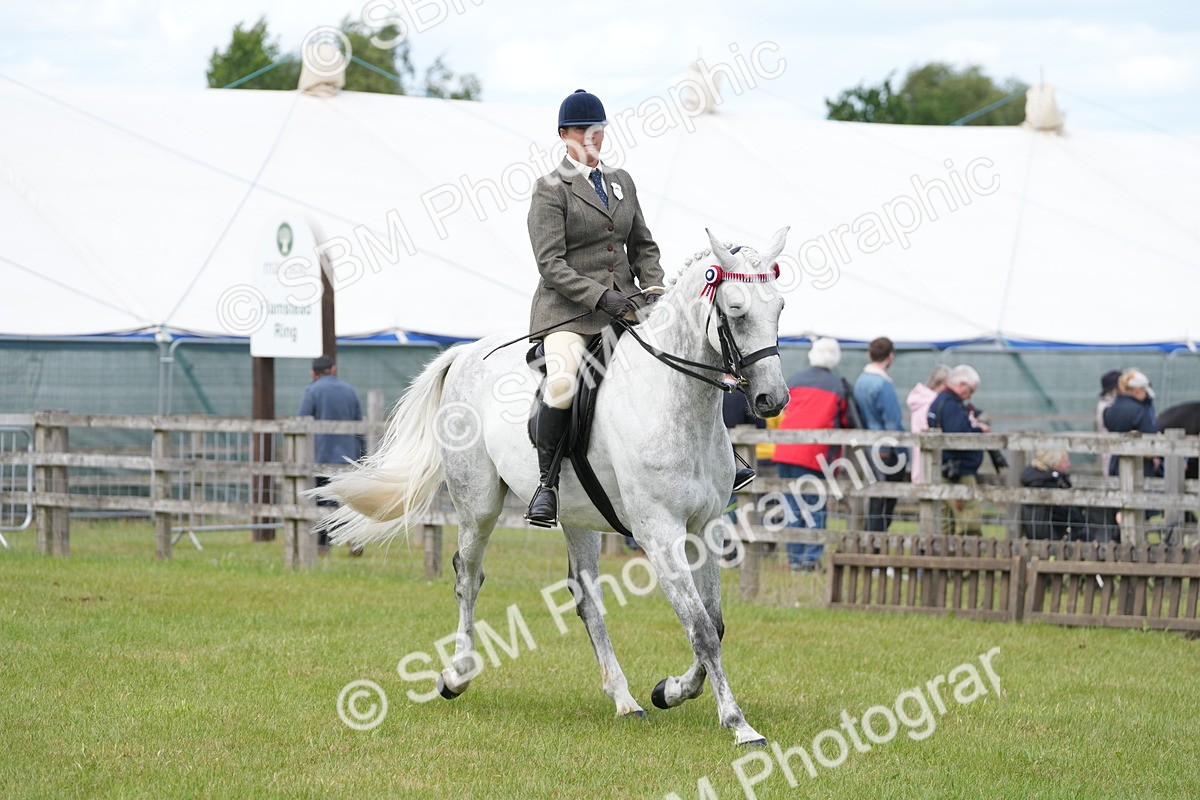 SBM_16201 - Class 105-106 - RIHS Riding Horses