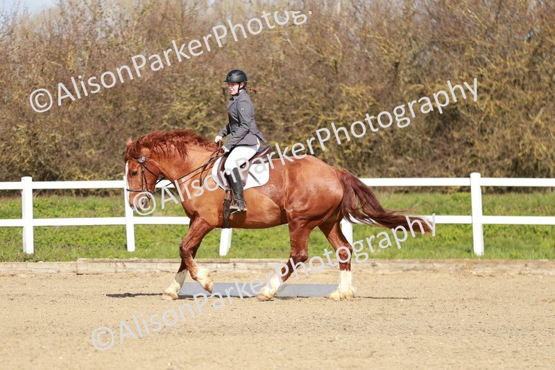 20260314-2843 - DR3 - Prelim 1