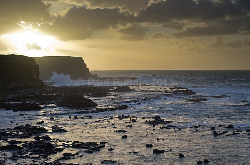 Sunrise petrified forest Curio Bay - New Zealand South Island