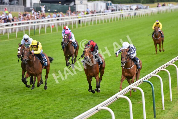 yr23072021r4-27 - Race 4 7.30pm British Stallion Studs EBF Lyric Fillies' Stakes