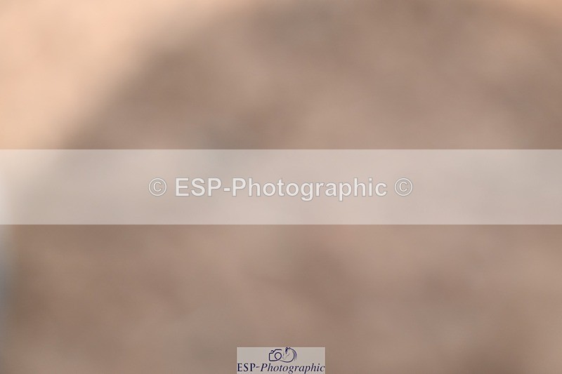 250620-121000-03307 - UnA Cls 5+6 - Novice 1+3