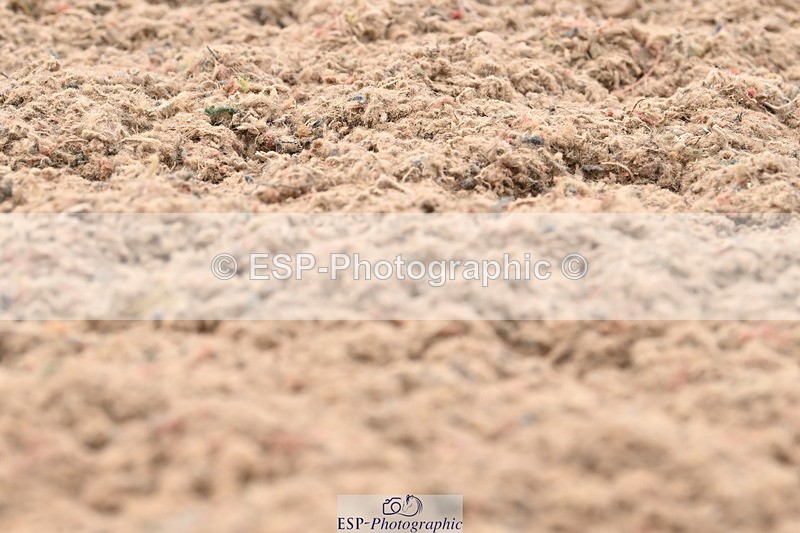 240621A-173254-05996 - Cls 14 BD Adv Medium 98