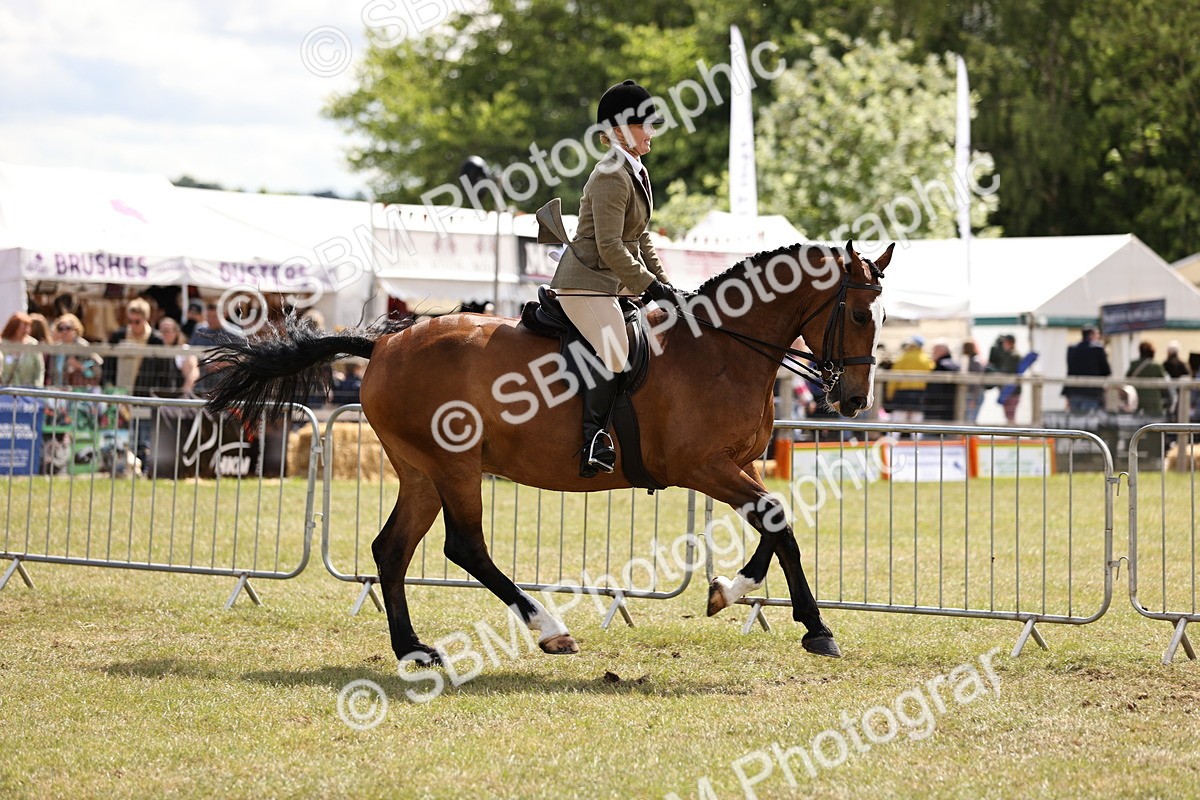 SBM_14524 - Class 88-89 - LIHS BSHA Rising Star of Ridden Hunter Type