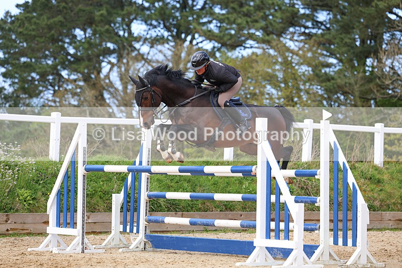 3E7A2326 - Class 8: Senior Foxhunter/1.20 open