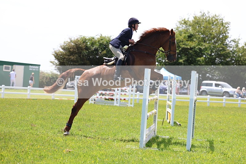 3E7A1265 - Class 12: Senior Foxhunter/1.20 open