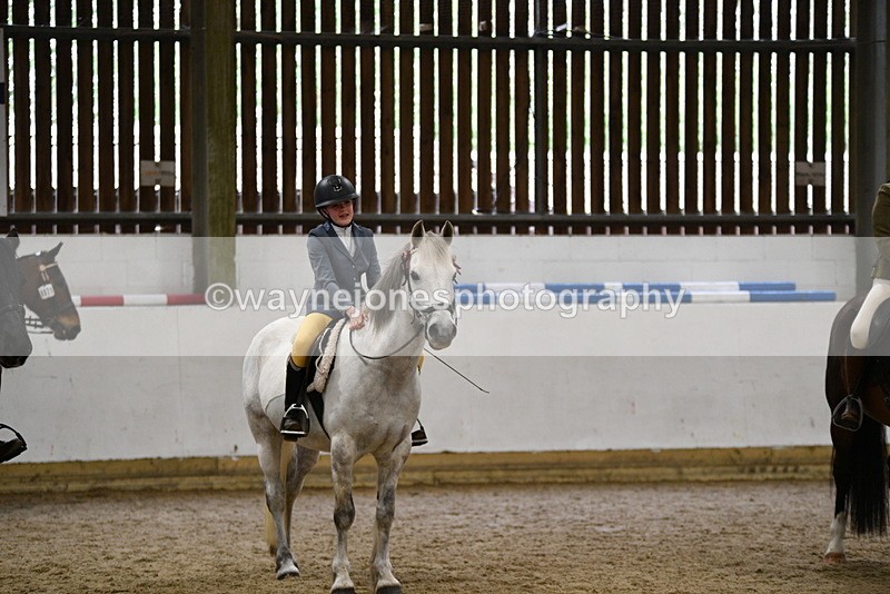 WJ5_8035 - Class 13 Ridden Part Breed