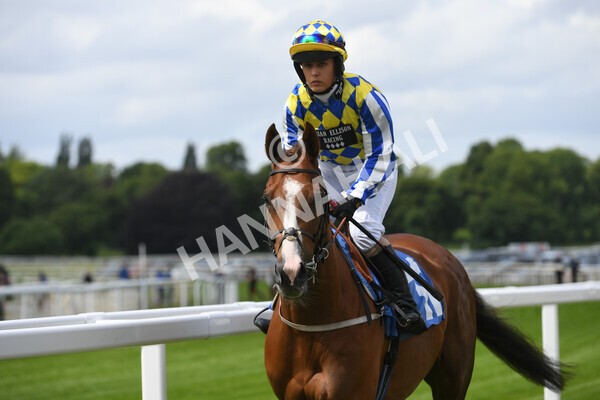 yr11062022r2-6 - Race 2 2.00pm Queen Mother's Cup
