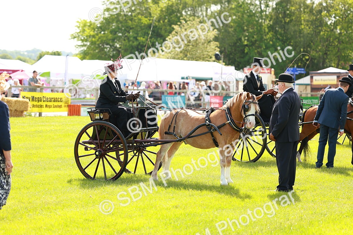SBM_02617 - Class 2-4 - HOYS Private Driving