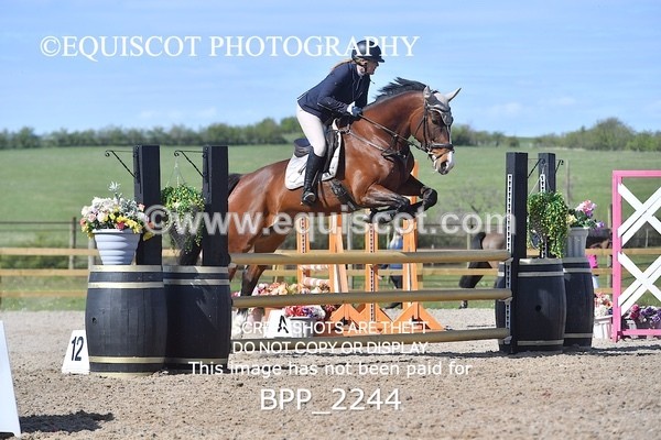 BPP_2244 - CLASS 22 SUN Senior BritiNovice/ 90cm Open