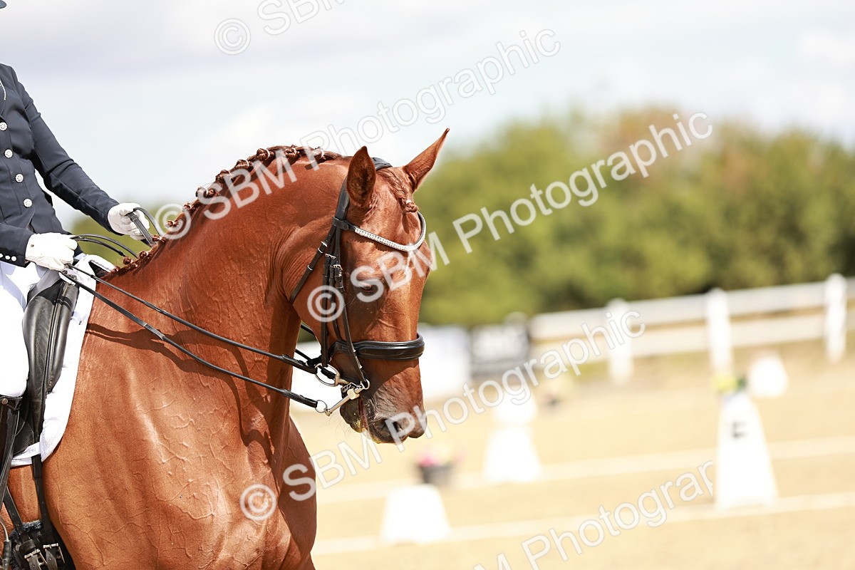 SBM_009407 - Class 11 - AM6