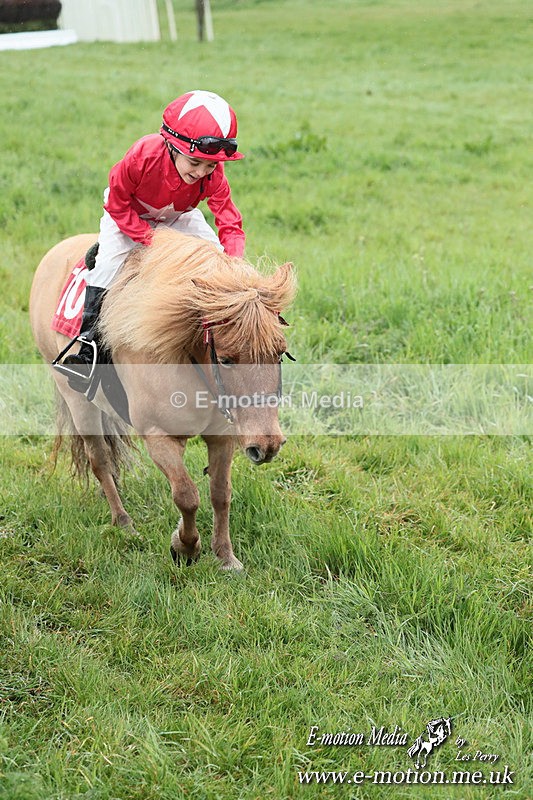 SHETPR 210425 253 - Shetland Ponies Paxford Races 21/04/25