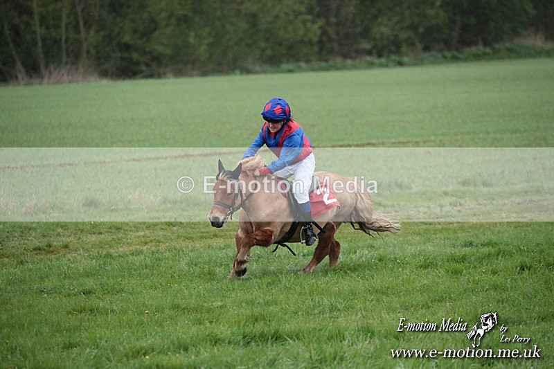 SHETPR 210425 98 - Shetland Ponies Paxford Races 21/04/25