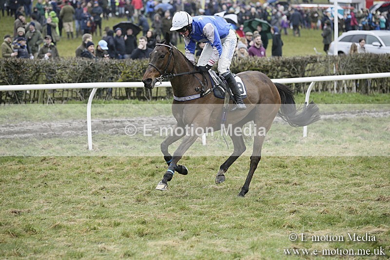 PtP 020418 -273 - Old Berks Point-to-Point Races Easter Monday 02/04/18
