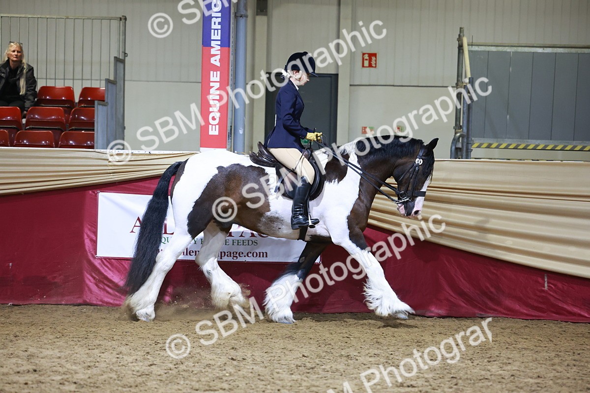 SBM_21552 - Class V - Champion of Champions