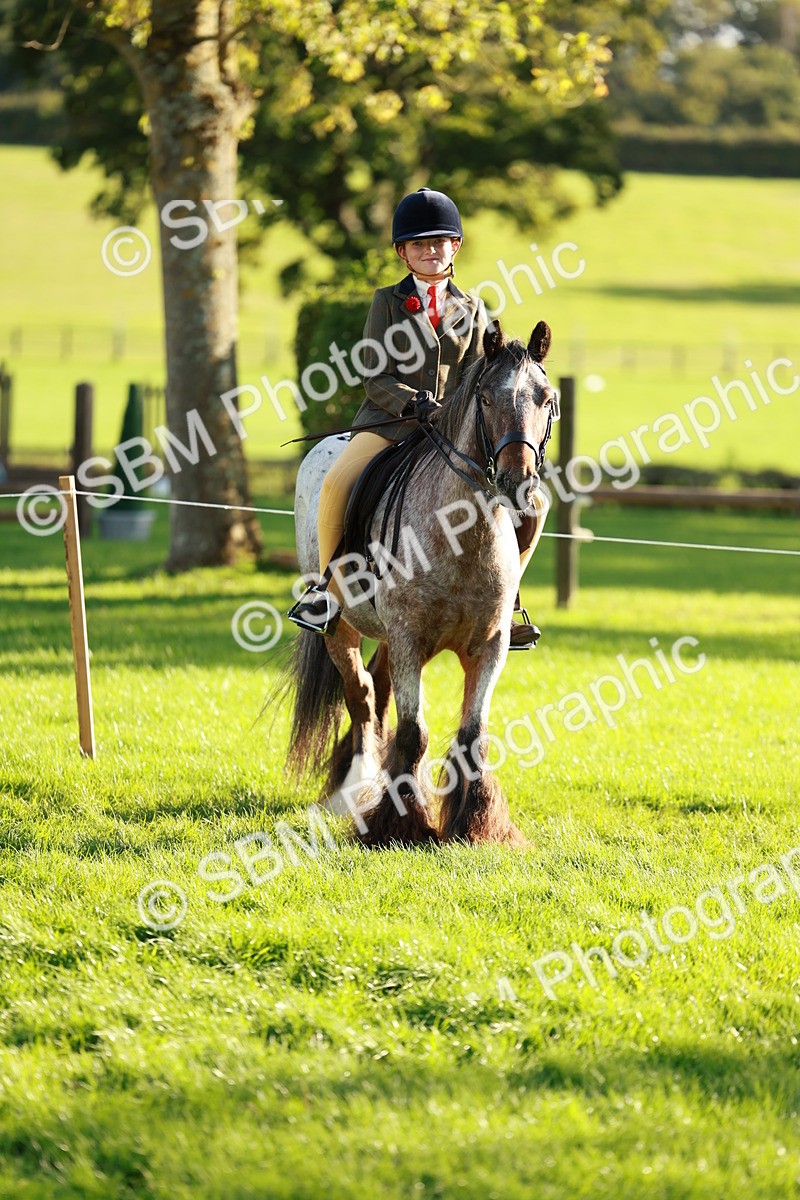 SBM_28726 - S7 - Novice & Newcomer Ridden Pony