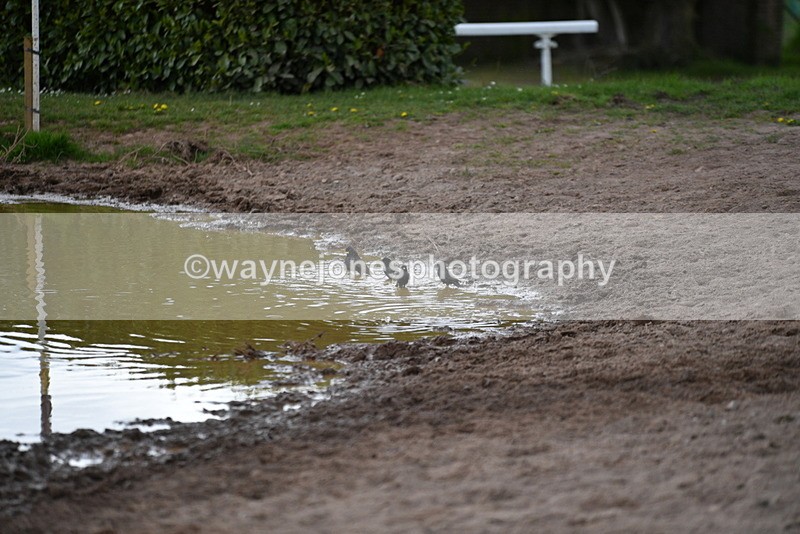 WJ5_3614 - Time 14:19 to 14:53