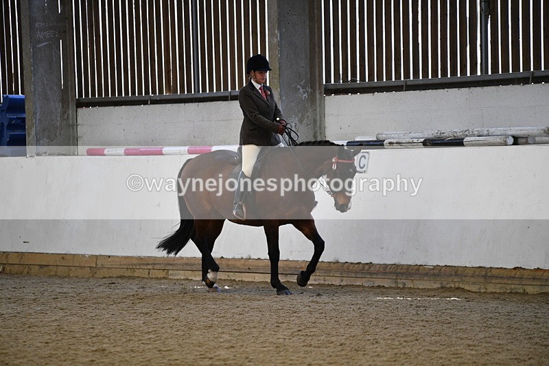 WJ5_5942 - Class 9 Ridden Veteran