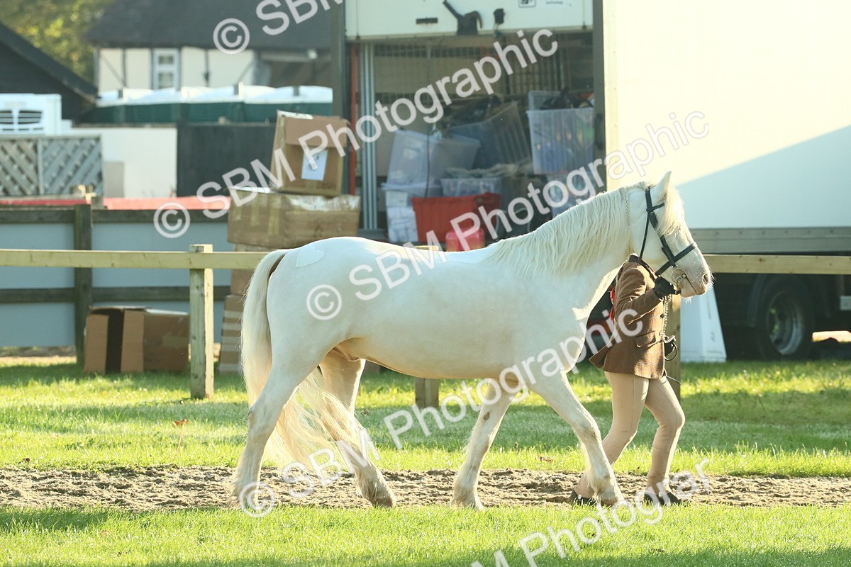 SBM_57375 - S37 - Starters In Hand Showing