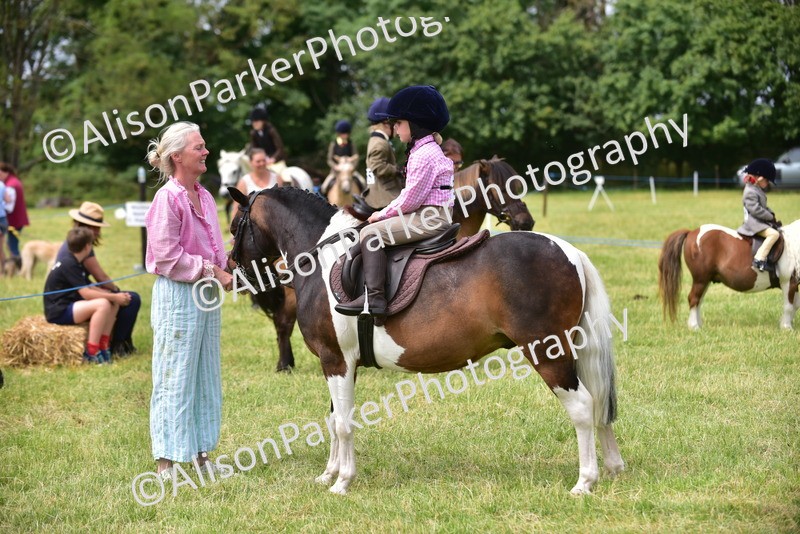 20260614-4019 - Class 16 - Handsome Gelding