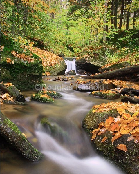 Fall at Libby - Fall and Winter
