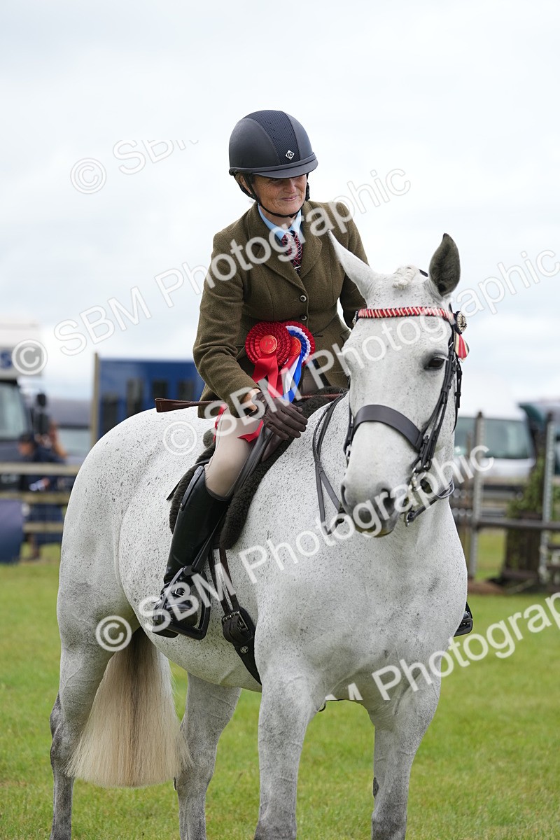 SBM_12857 - Class 97-98 - LIHS BSHA Rising Star Working Show Horse Hunter