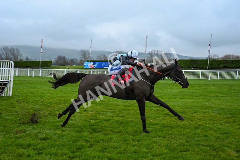131224-Race 7-Long Draw-0200 - Race 7