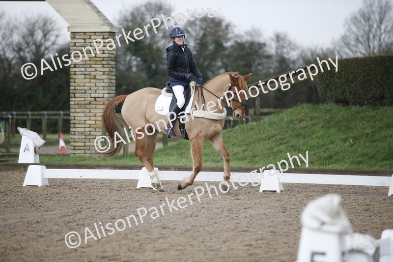 20260127-0410 - Class 17 - BD Novice 3