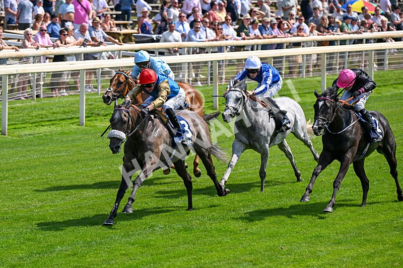 100726-Race 2-Flora Of Bermuda-0178 - Race 2 14.45pm William Hill Summer Stakes