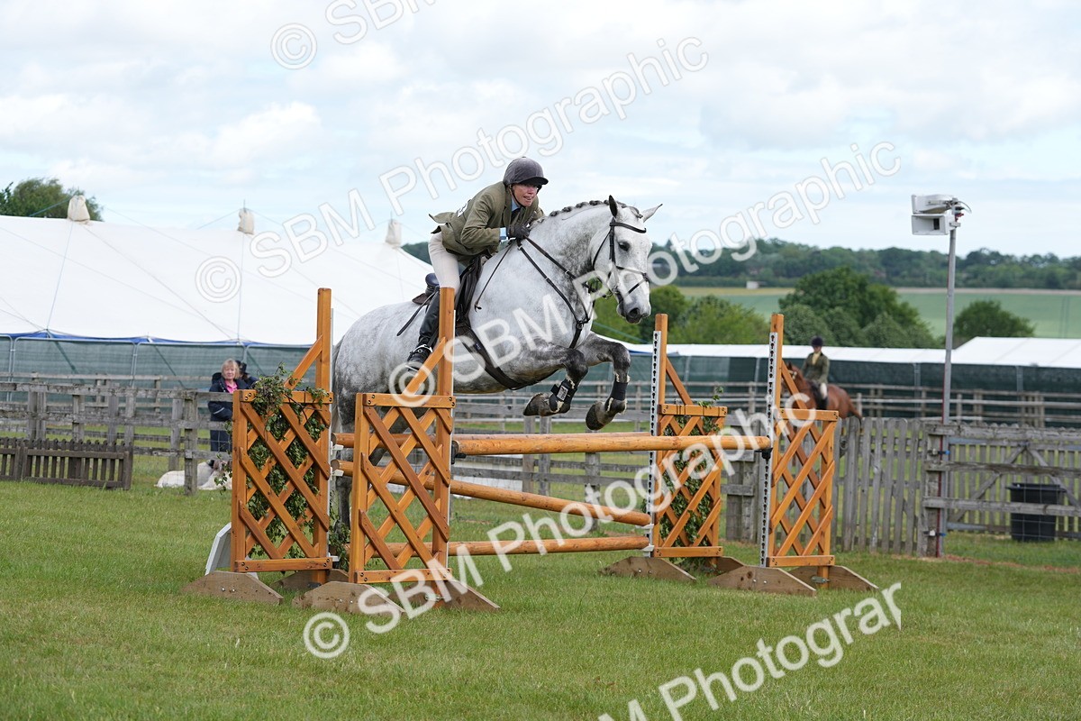 SBM_14867 - Class 100-102 - RIHS Working Hunter