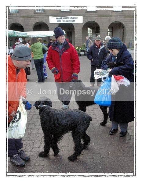 Dogs at the February Market - Walking the Dog