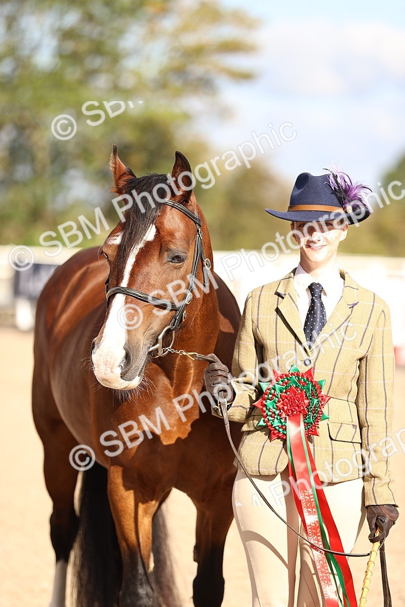 SBM_08554 - Class 402 - IH Veteran Pony