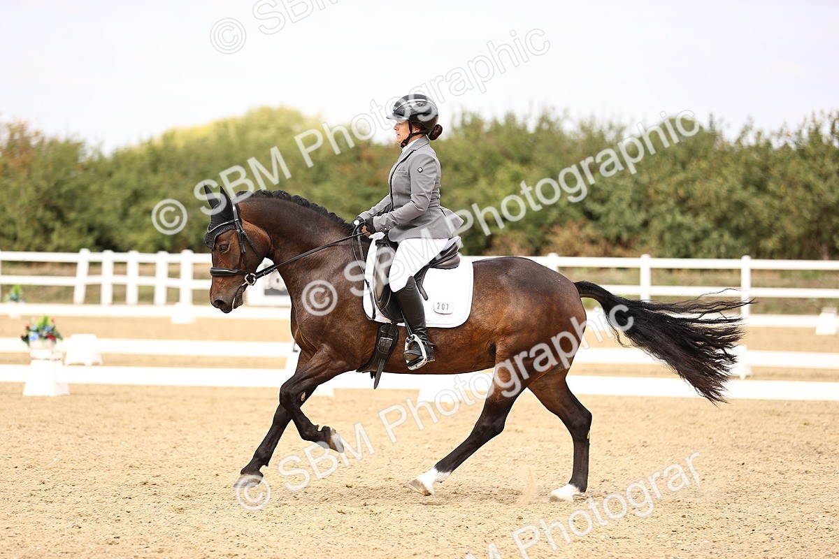 SBM_013984 - Class 4 - Novice 5 - 13.09-13.51