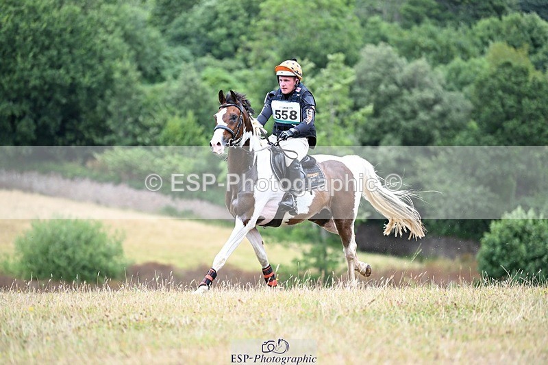 250803A-124002-13267 - M-558-Theo.Funnell-CARLOMAN.C