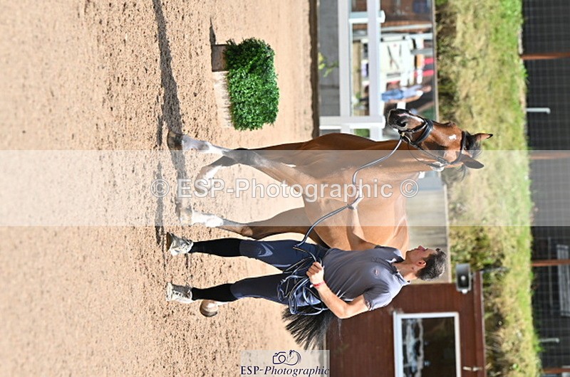 240718A-105305-01544 - Trot Up 1pm to 2pm