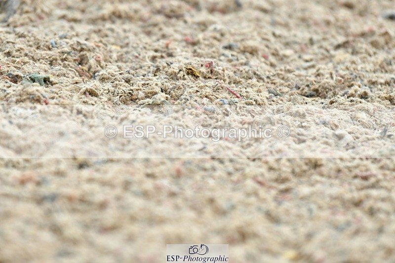 230708A-110813-02501 - Prelim 13