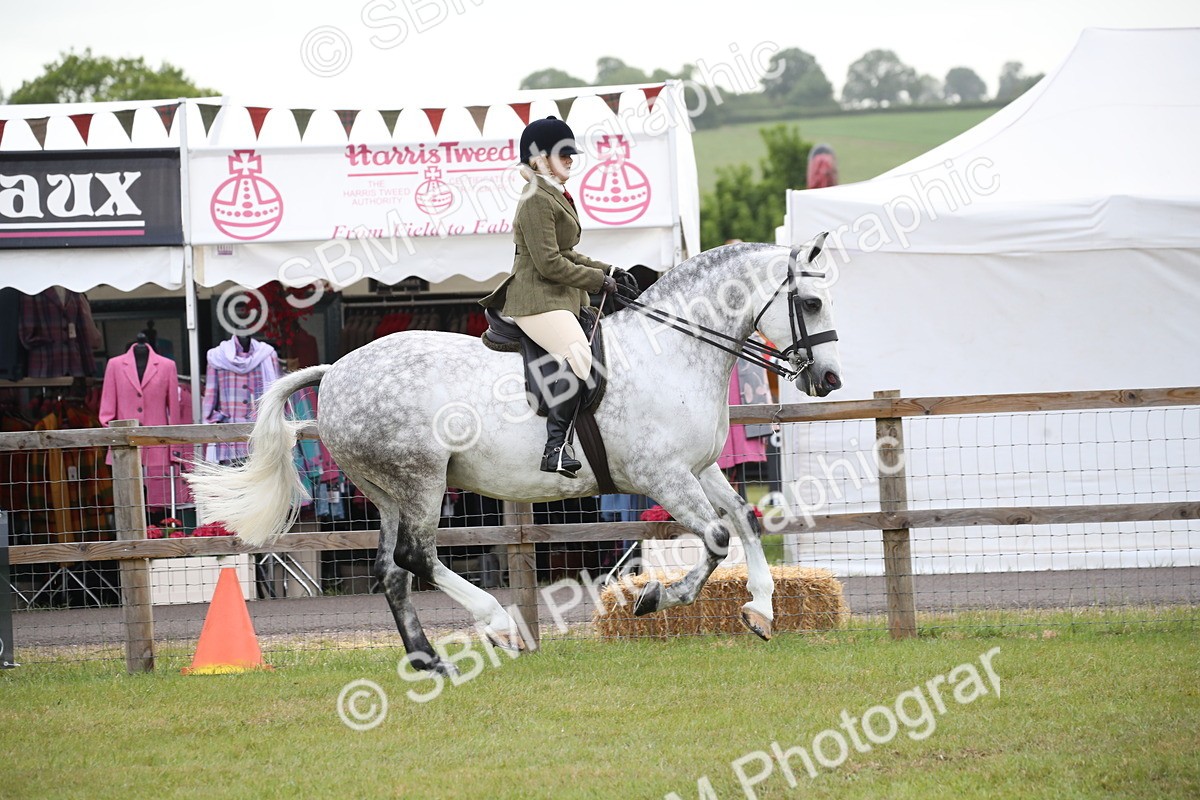 SBM_11076 - Class 92-93 - LIHS BSHA Rising Star Cobs