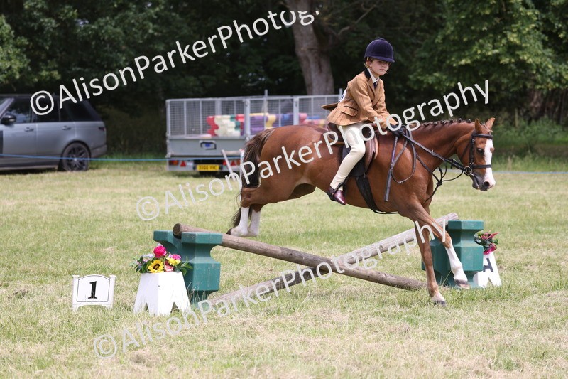 20260614-2810 - Class 22 - Open Working Hunter