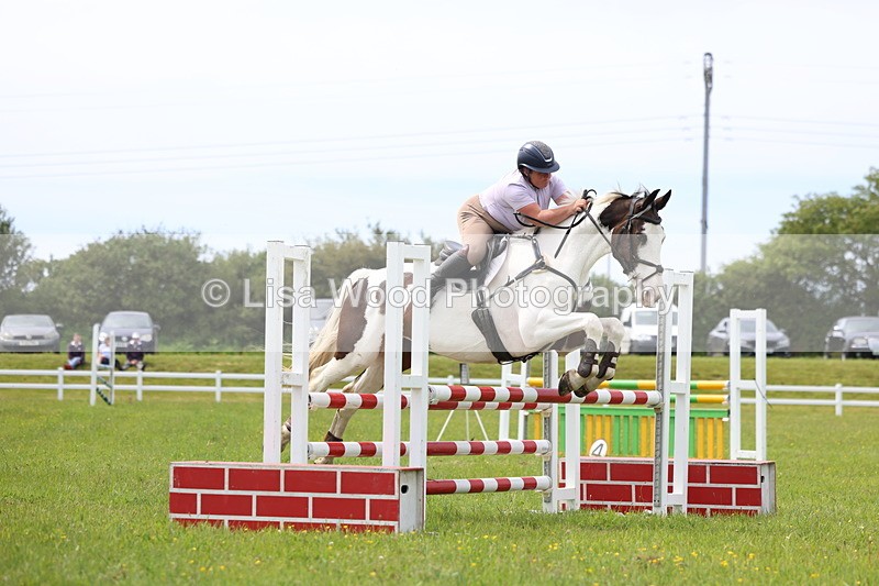3E7A1837 - Class 13: Senior British Novice/90cm open