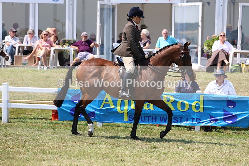 3E7A9296 - Class 12: Open Racehorse to Show Horse
