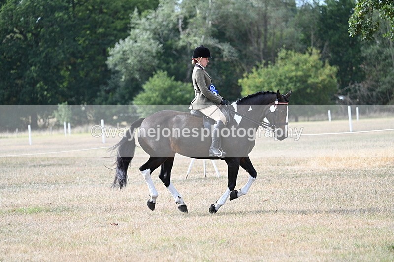 WJ7_7664 - Ridden Championship