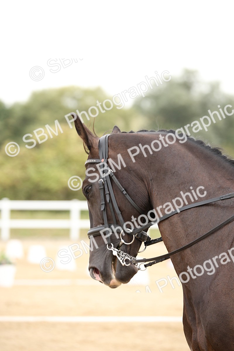 SBM_019276 - Class 22 - Medium 73 - 9.24-10.12