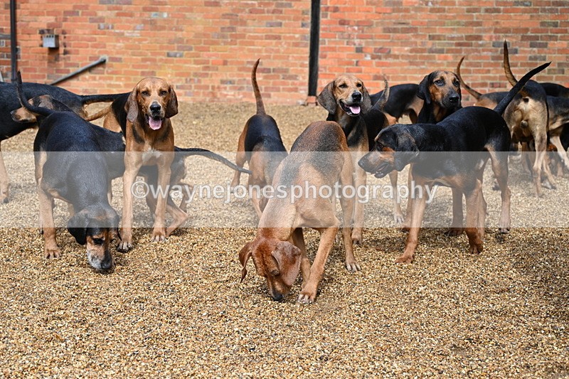 WJ7_7002 - Berks & Bucks at Blandy’s Farm 31-08-25